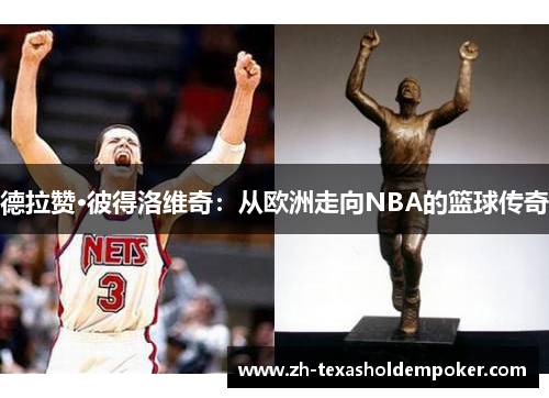 德拉赞·彼得洛维奇：从欧洲走向NBA的篮球传奇